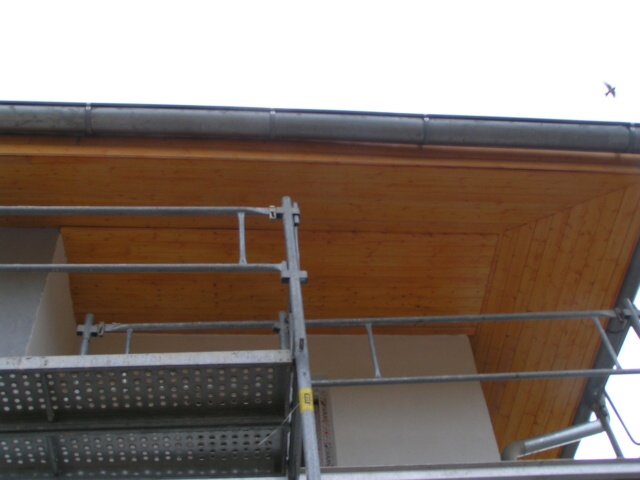 kPICT0131.jpg